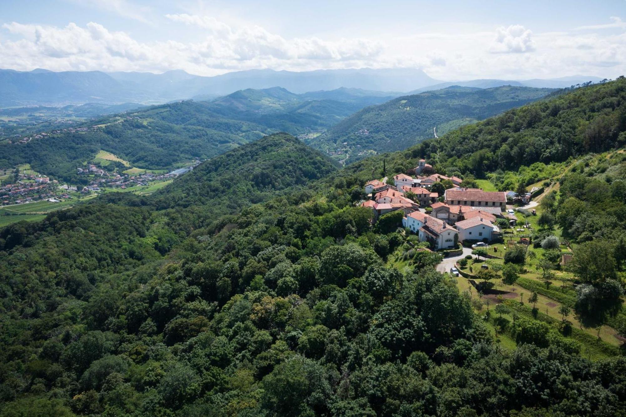 Villa Artes With Free Hot Tub & Sauna Branik Exterior photo